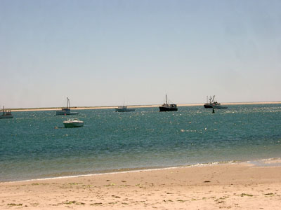 Cape Cod 103