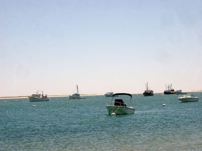 Cape Cod 107