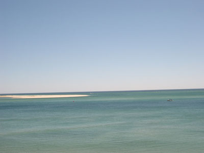 Cape Cod 113