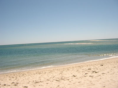 Cape Cod 115