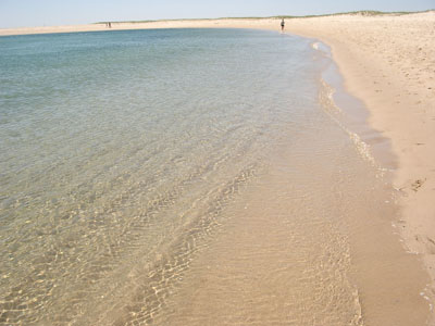 Cape Cod 117