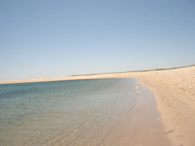 Cape Cod 118
