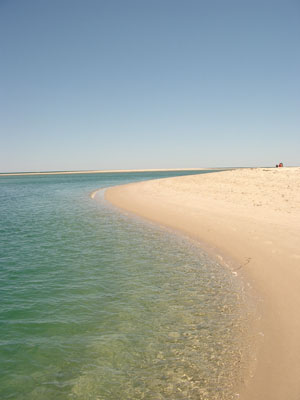 Cape Cod 119