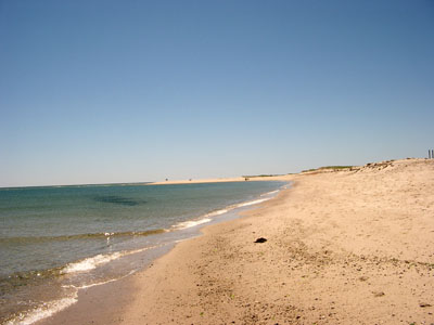 Cape Cod 121