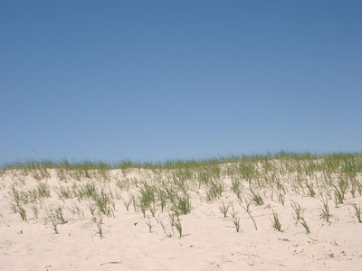 Cape Cod 122