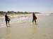 Cape Cod 025