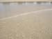 Cape Cod 026