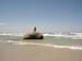 Cape Cod 030