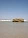 Cape Cod 037