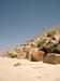 Cape Cod 041