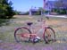 Cape Cod 045