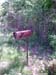 Cape Cod 047