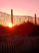 Cape Cod 063