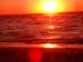 Cape Cod 068