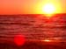 Cape Cod 069