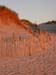 Cape Cod 070