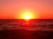 Cape Cod 076