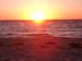 Cape Cod 077