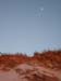 Cape Cod 078