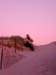 Cape Cod 086