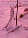 Cape Cod 088