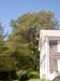 Cape Cod 098