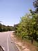 Cape Cod 099