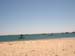 Cape Cod 101