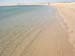 Cape Cod 117