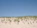 Cape Cod 122