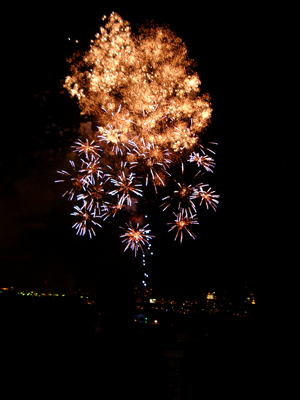 Independence Day 100