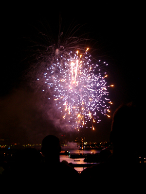Independence Day 110