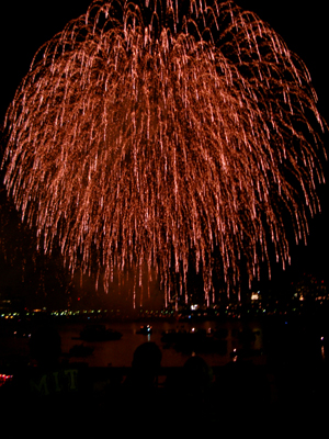 Independence Day 118