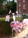 Independence Day 024