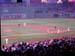 Fenway Park (160804) 14