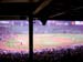 Fenway Park (160804) 15