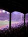 Fenway Park (160804) 35
