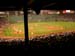 Fenway Park (160804) 44