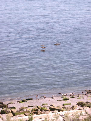 Harbour Islands (220804) 34