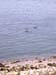Harbour Islands (220804) 34