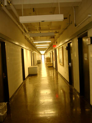 MIT 01