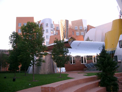 MIT 08