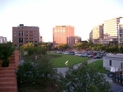 MIT 10