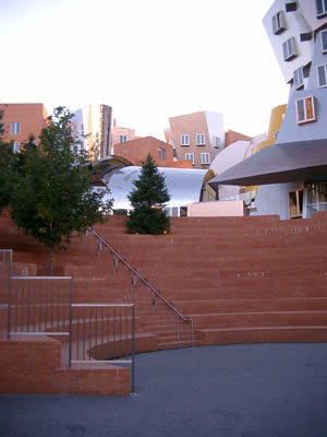 MIT 11
