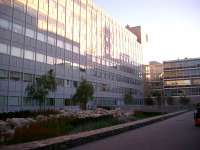 MIT 12