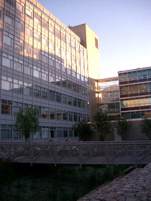 MIT 13