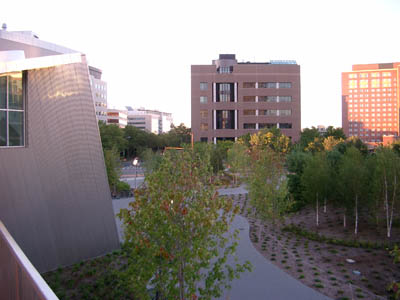 MIT 17
