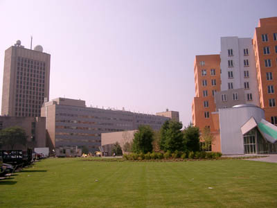 MIT 26