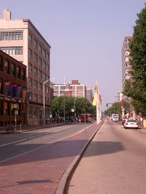 MIT 29