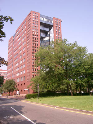 MIT 31